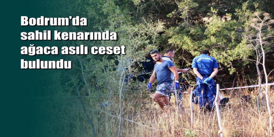 Bodrum'da ağaca asılı cesedi sahilde gezen turistler fark etti