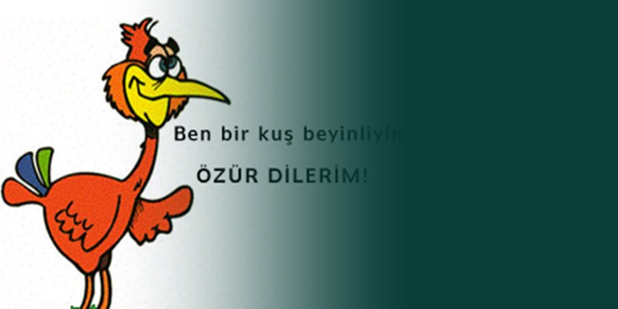 Kabul ediyorum yenildik