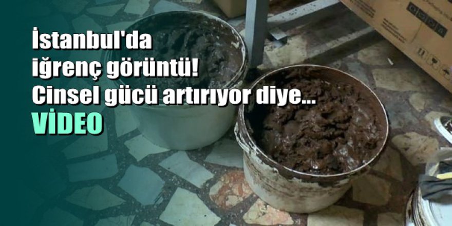 İğrenç görüntü: Bahçelievler'de 3 depoya baskın