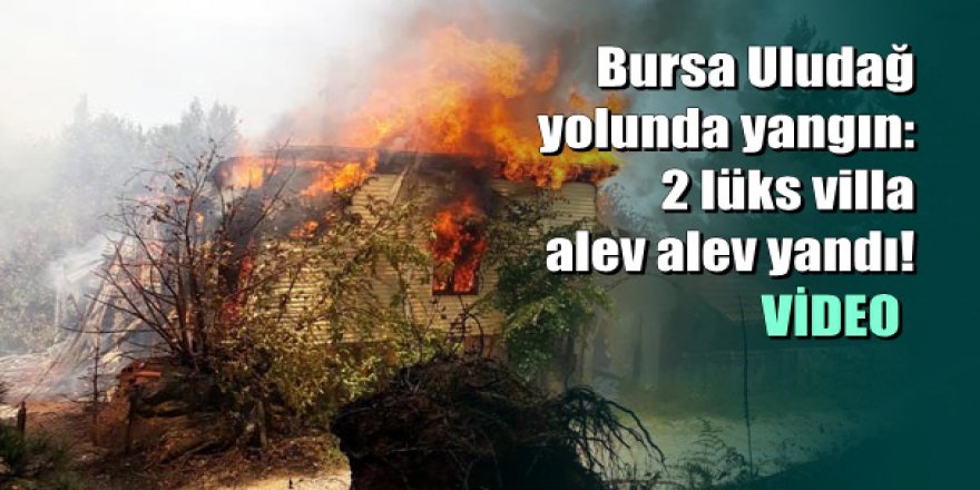 Bursa Uludağ yolunda yangın: 2 lüks villa alev alev yandı