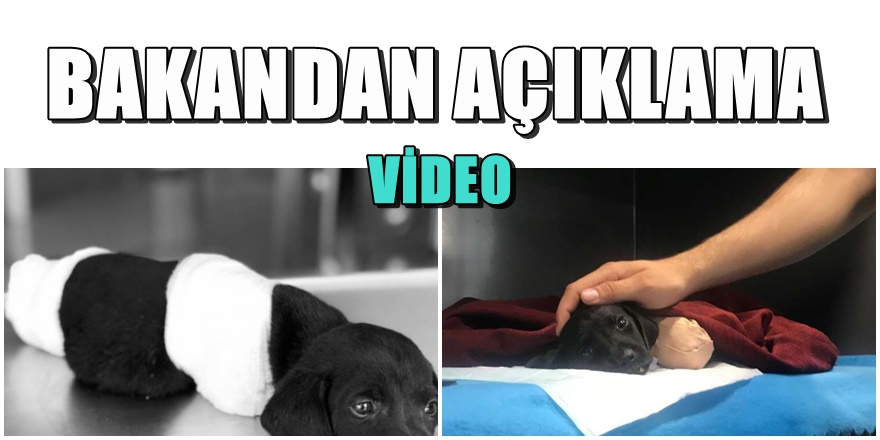 Türkiye'yi sarsan ' Yavru Köpek ' olayında flaş gelişme