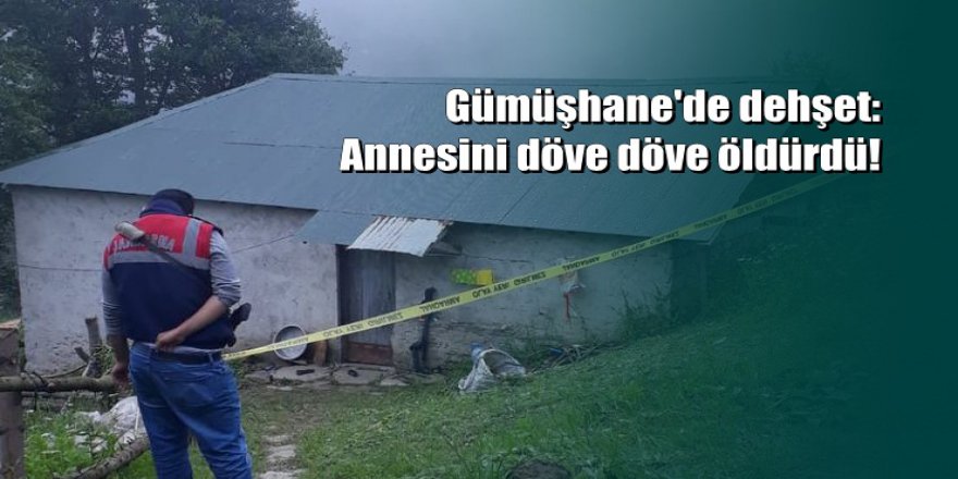 Gümüşhane'de şizofreni hastası kadın annesini döverek öldürdü