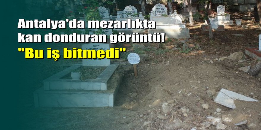 Antalya'da mezarlıkta kan donduran görüntü