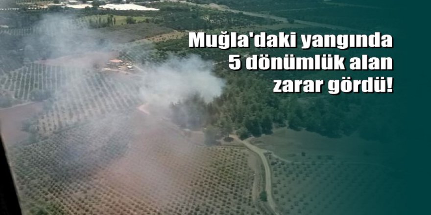 Muğla Köyceğiz’de orman yangını