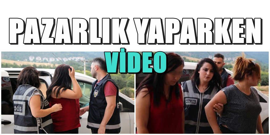 Bolu'da parkta fuhşa baskın