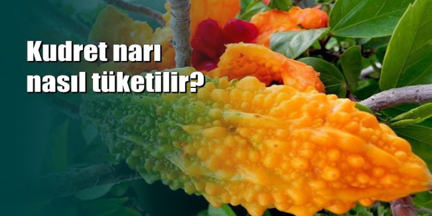 Her derde deva: Kudret narının faydaları nelerdir