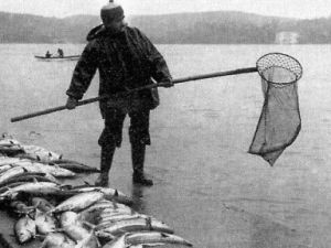 “KÖTÜYE ALIŞMAK“ ve “ KURTULMAK“