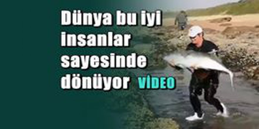 Dev balığı hayata böyle döndürdü