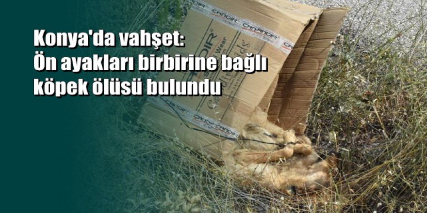 Yol kenarında ayakları bağlanmış halde ölüsü bulundu