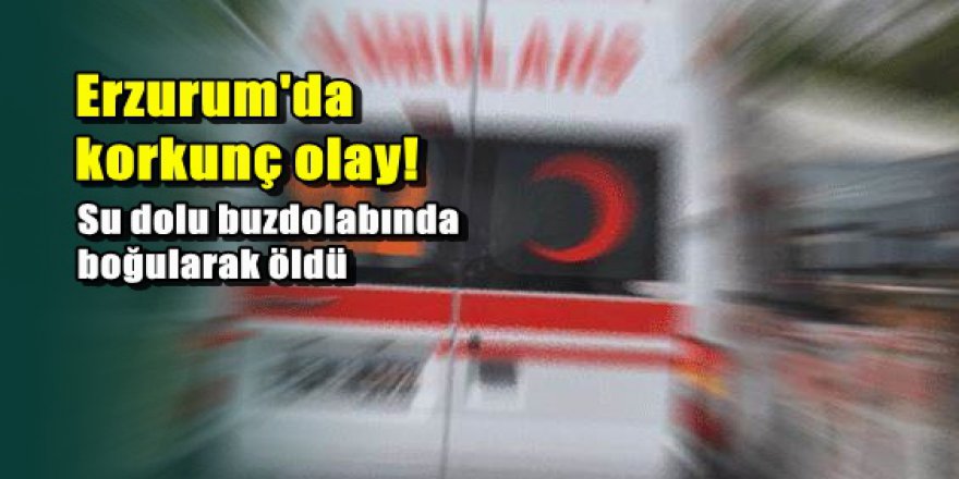 1 yaşındaki çocuk buzdolabında boğuldu