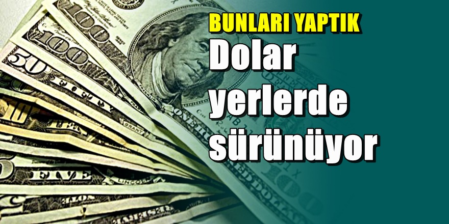 Doların itibarı