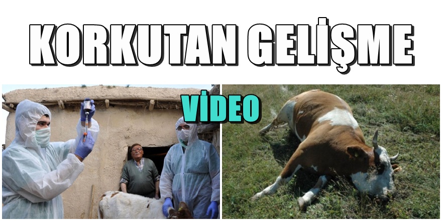 CHP'den korkutan Şarbon açıklaması