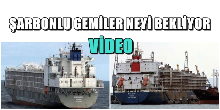 Haytap'tan korkutan Şarbonlu gemi açıklaması