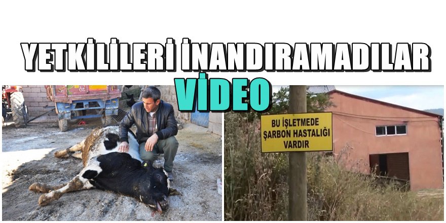 Şarbon hastalığı Kayseriye'de sıçradı