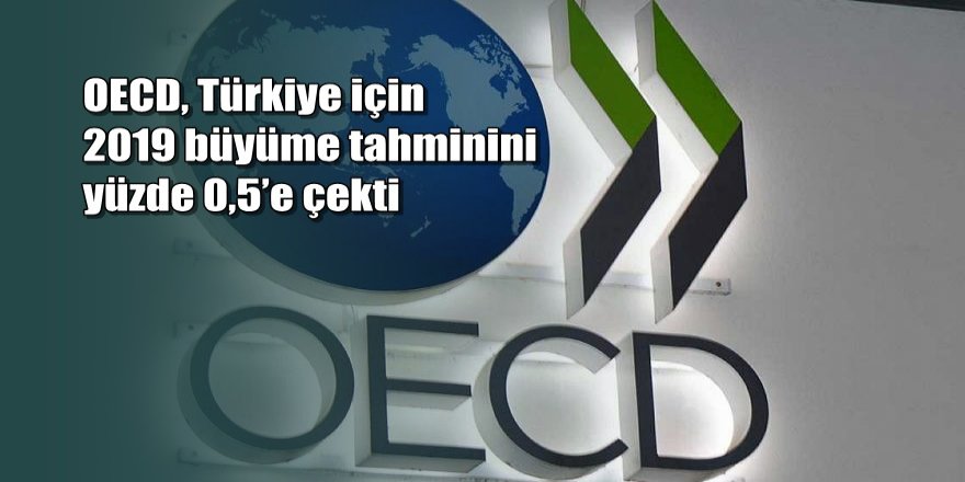 OECD, Türkiye için 2019 büyüme tahminini yüzde 0,5’e çekti