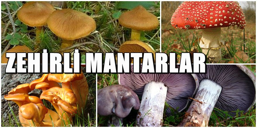 Sağlık Bakanlığından kritik açıklama