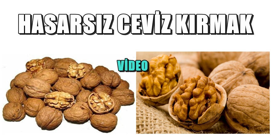Ceviz kırmada devrim gibi buluş