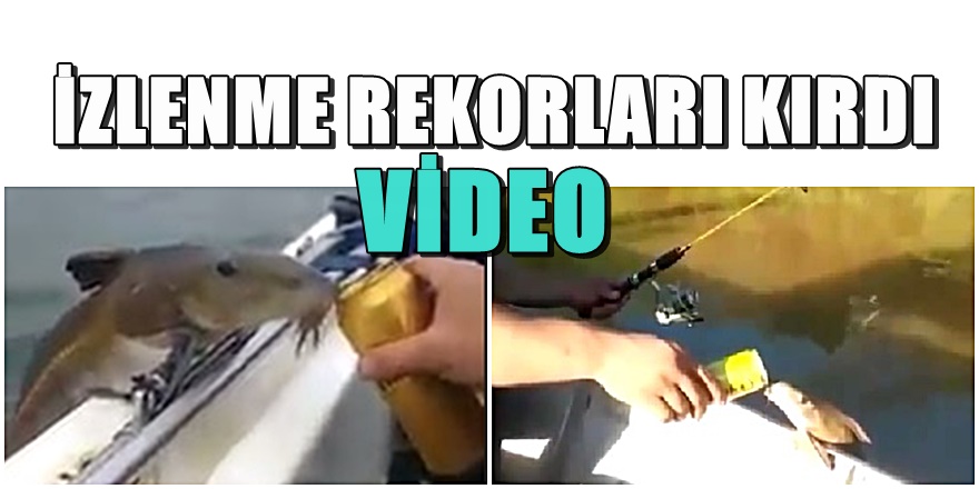 Dünya bira içen bu balığı konuşuyor