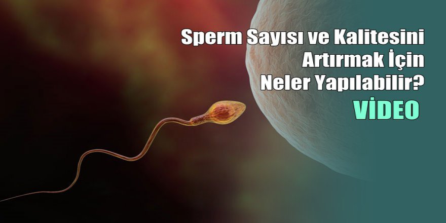 Sperm Sayısı ve Kalitesini Artırmak İçin Neler Yapılabilir?