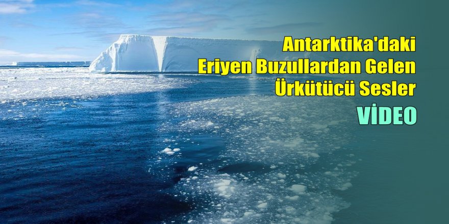 Antarktika'daki Eriyen Buzullardan Gelen Ürkütücü Sesler