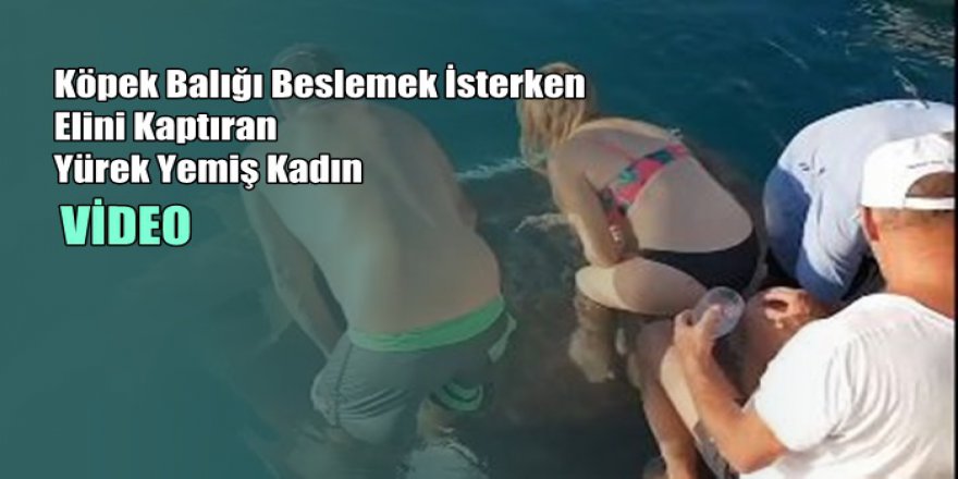 Köpek Balığı Beslemek İsterken Elini Kaptıran Yürek Yemiş Kadın