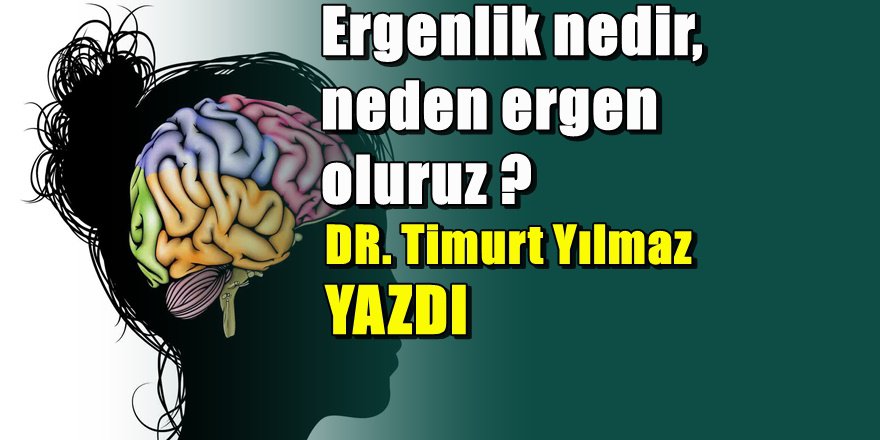 Ergen Beyni nedir ?