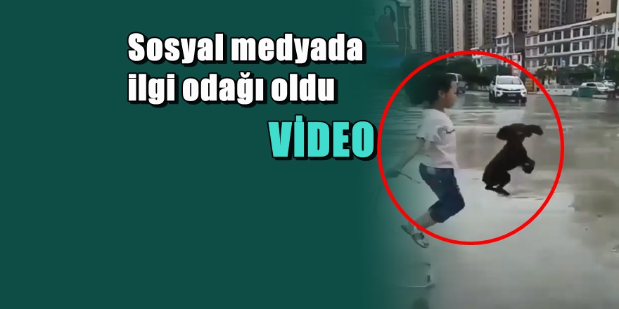 Sahibi ile birlikte ip atlayan minik köpek ilgi odağı oldu