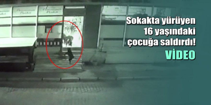 Pitbull dehşeti kamerada