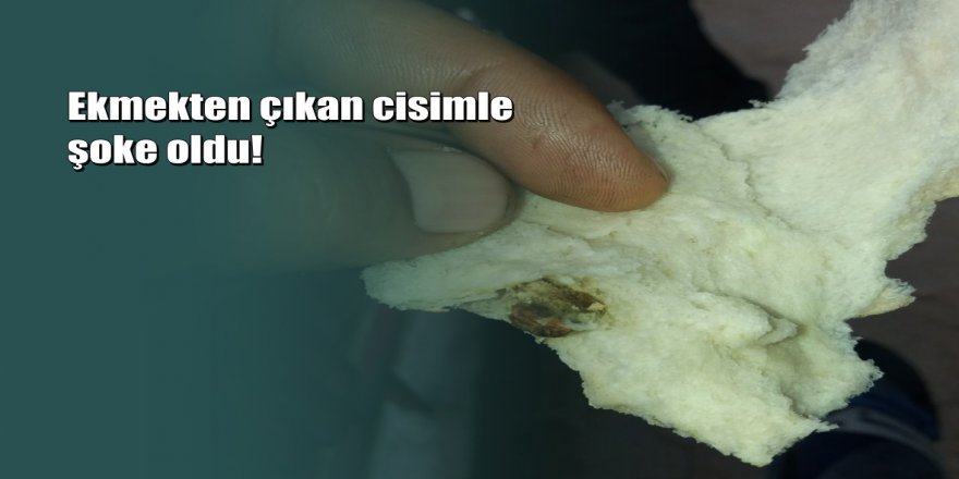 Antalya'da ekmeğin içinden çıkan cisim şok etti