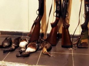 Nesli Tükenen Kuşu da Avladılar