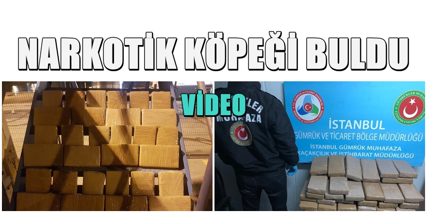 Muz yüklü gemiden Milyon Dolarlık kokain yakalandı