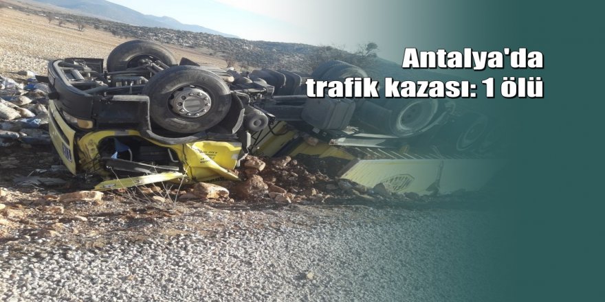 Direksiyon başında kalp krizi geçiren sürücü hayatını kaybetti