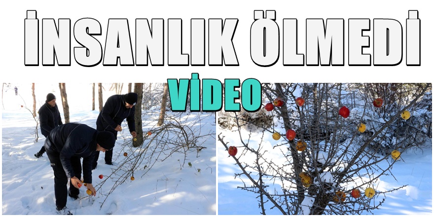 Yozgat Belediyesin'den örnek görüntüler