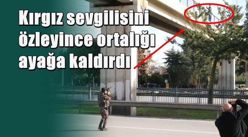 Antalyalı çılgın aşıktan yaya geçidinden atlama girişimi