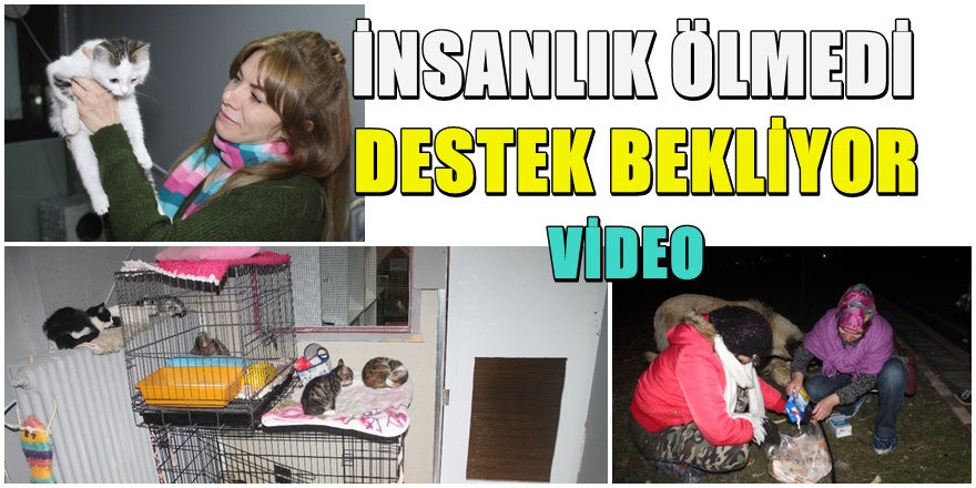 Konyalı hayvan severler destek bekliyor