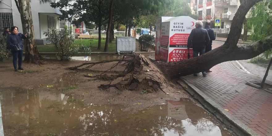 İzmir'de selde can pazarı görüntüleri