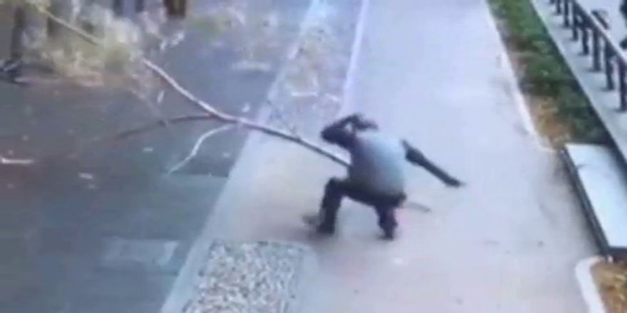 Yolda yürüyen adamın üzerine ağaç devrildi