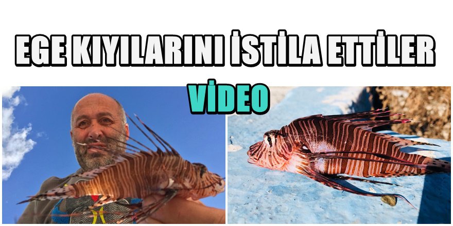 Ege denizinde ölümcül kırmızı alarm