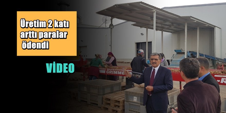 Konya'da patates mucizesi