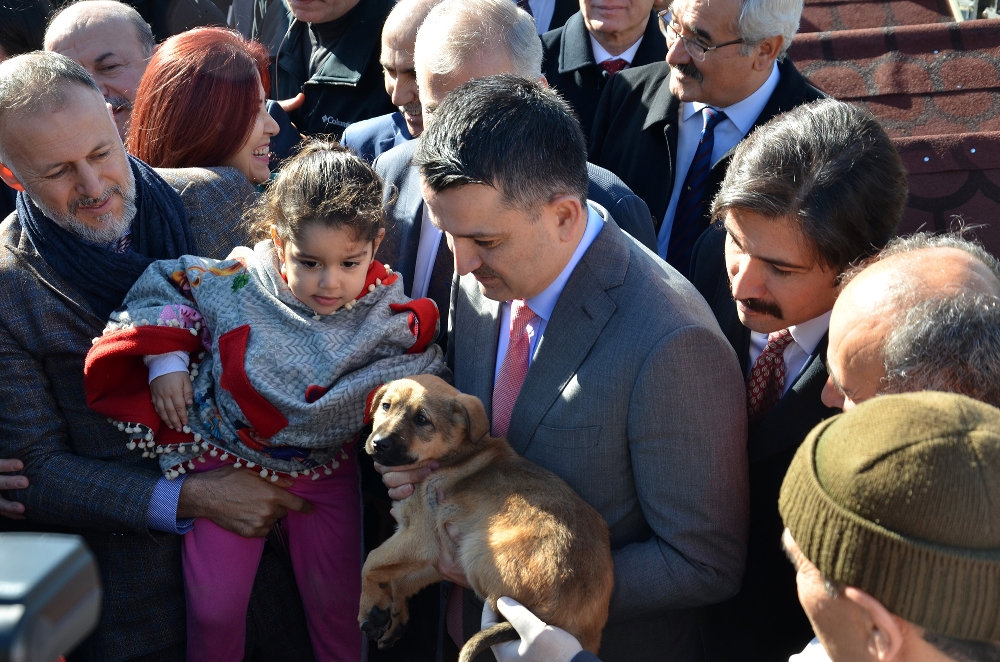 Pet shoplarda bundan sonda kedi köpek satılmayacak