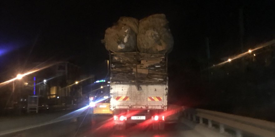 Polis dehşet kamyonunu böyle durdurdu