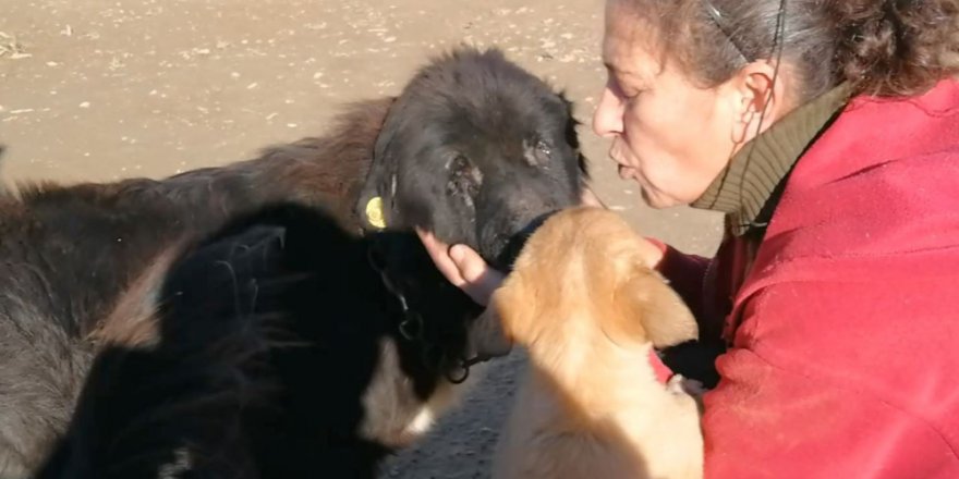 Doğuştan Gözleri Olmayan Köpeğin yürek burkan hikayesi