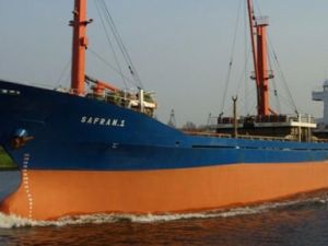 Şehzadelerin Hanedan Kavgası!